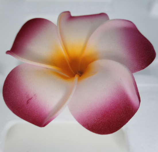 Petite rose