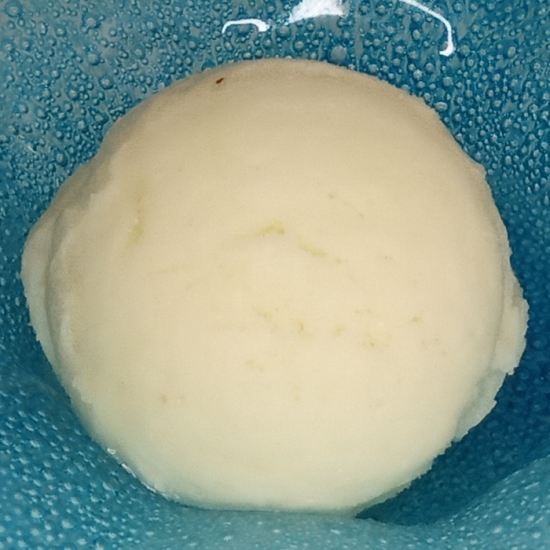 Sorbet à la pomme verte (0,5 l)